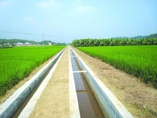 襄北监狱襄北三农场西片区高标准基本农田土地整治项目