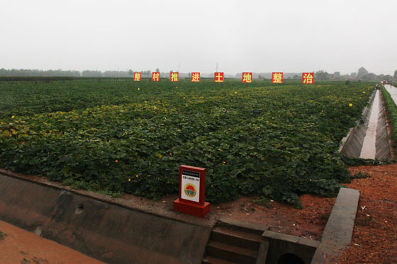 洪湖市戴家场镇、大沙湖管理区镇基本农田土地整治项目