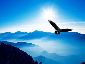 青开成功晋升为房屋建筑工程施工总承包壹级企业