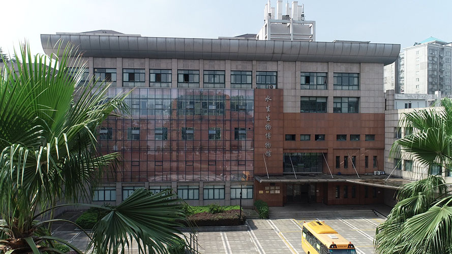 水生所科研辅助用房配套设施维修改造