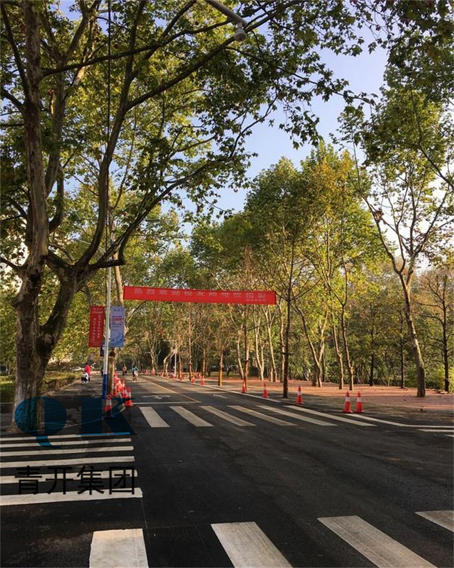 华科西路（鲁磨路-紫菘路）工程施工